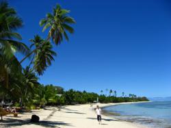 Food Safari in Fiji - Image by peter-moore
